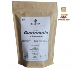 Guatemala L.H +84.25